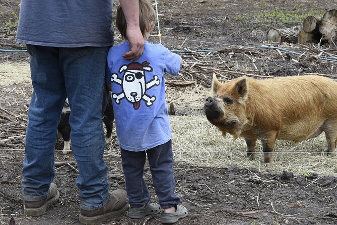 1.5 Hour Immersive Farm Experience in Adirondacks - A real working farm tour in the Adirondacks with max 6 people