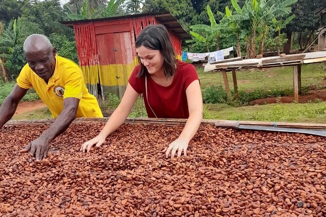 1 Day cocoa farm tour - Getting from Accra to Asamankese: the 7:30am start that pays off
