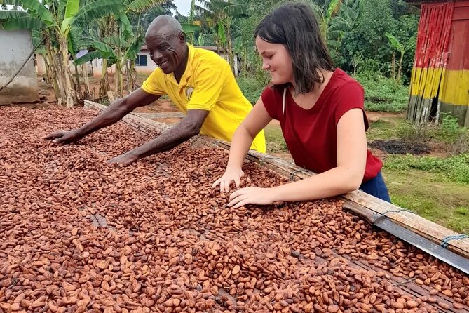 1 Day cocoa farm tour - A private tour with a patient guide: how it feels in real time