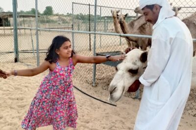 1 Hour Private Quad Biking with 30 minutes Camel Farm Visit - Quad Biking Through Deep Desert: One Hour of Real Dune Time