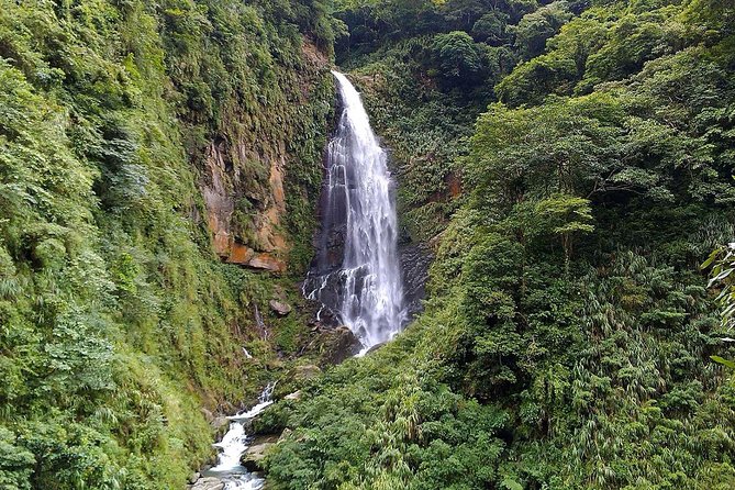 1D Tour to Cingjing Farm from Taichung - Key highlights I’d plan around