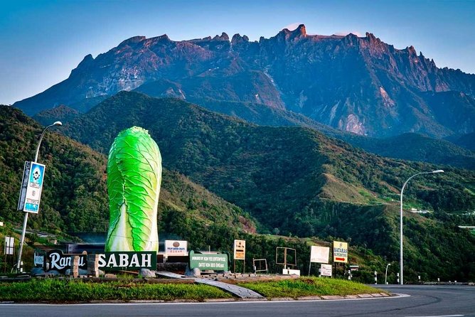 2d1n Kinabalu Park & Poring Canopy Walk & Desa Cow Farm Tour - Desa Dairy Farm: 199 hectares of Sabah farmland
