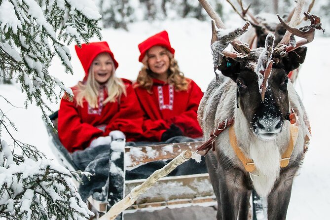 2km Sleigh Ride & Feeding Experience at Traditional Reindeer Farm - Key highlights you’ll actually care about