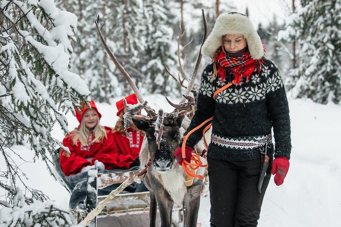 2km Sleigh Ride & Feeding Experience at Traditional Reindeer Farm - Reindeer feeding and interaction: how to make the most of the close-up time