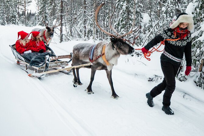 2km Sleigh Ride & Feeding Experience at Traditional Reindeer Farm - Price and value: what you get for $116 in Rovaniemi