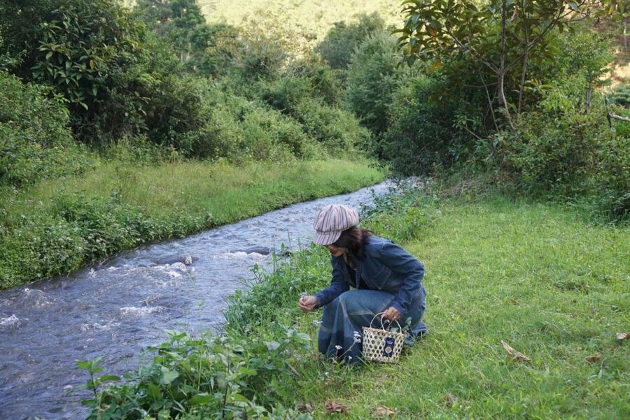 3-Hours Trekking Tour to Hidden Waterfall and Sturgeon Farm - Key highlights at a glance