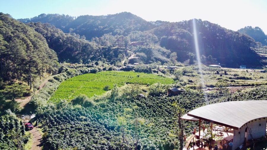3-Hours Trekking Tour to Hidden Waterfall and Sturgeon Farm - Sturgeon farm stop: how the farming process works