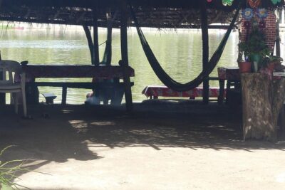 3 Palos Lagoon AfroMex Village Turtle Release & Croc Farm Visit - Laguna Wildlife + Nature Walk Time: Your Choice Between Shade and Sea