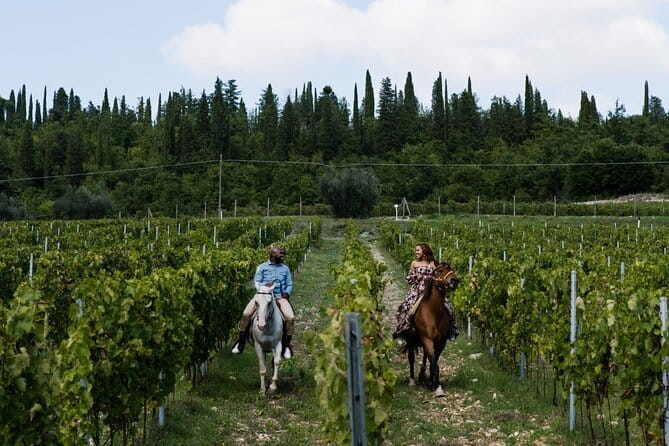 4 WINES TASTING in a Chianti Classico Farm (Visit/tour at the winery included) - Your four bottles: Chianti Classico, Riserva, and two IGT Toscana