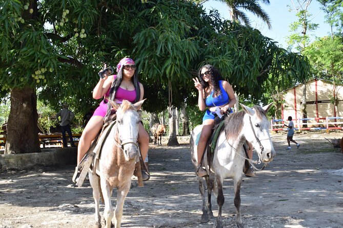 5 tours in 1 (Eco Farm/Horseback/City Tour/Buggy/Zipline) - Why This Cap Cana 5-in-1 Tour Works for Most People