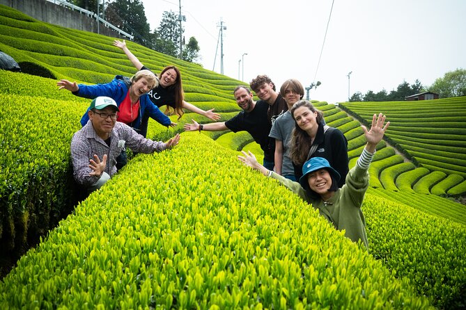 7hr Private Wazuka True Hidden Kyoto Matcha Farm Experience - Private tour reality: what your money buys