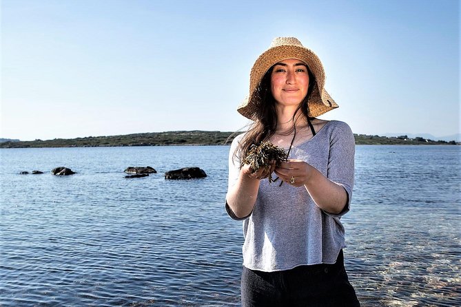 Abalone farm tour and tasting with coastal seaweed walk. Guided. 2 hours - The Tasting Meal: Seaweed Salads, Sashimi, Cooked Abalone, Cookies