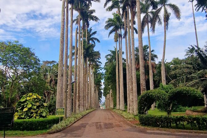 Aburi Botanic Gardens, Boti Falls,Umbrella Rock & Cocoa Farm Tour - Key things that make this tour worth your time