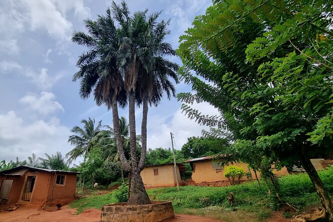 Aburi Botanic Gardens, Boti Falls,Umbrella Rock & Cocoa Farm Tour - Start in Accra at 8:30 AM, then let the route do the work