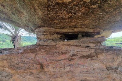 Aburi Botanic Gardens, Boti Falls,Umbrella Rock & Cocoa Farm Tour - The quick Boti palm stop: 30 minutes, one odd fact, and you’ll remember it