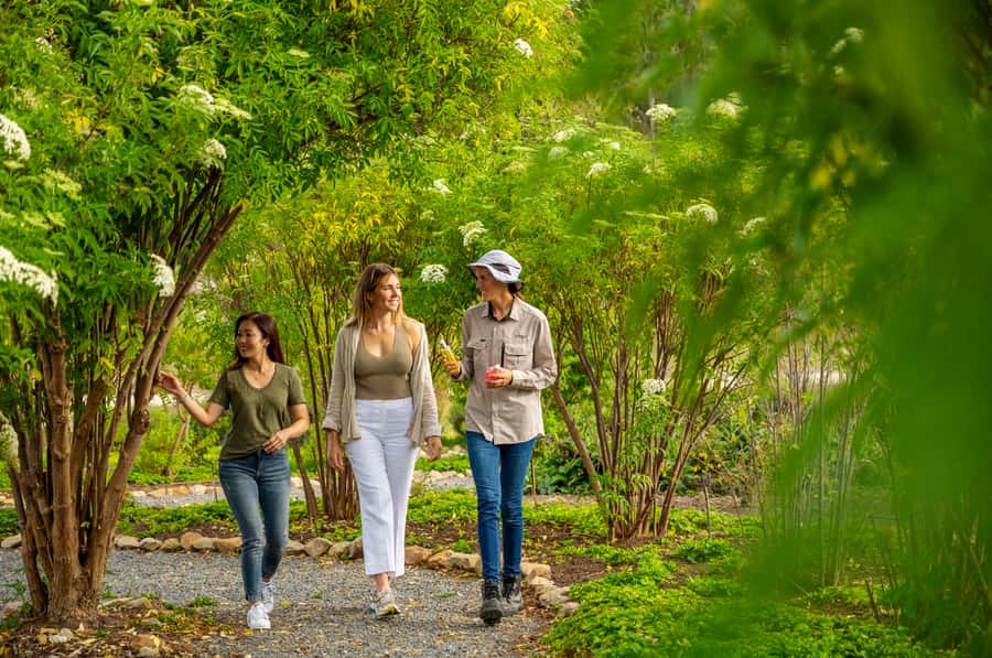 Adelaide Hills: Jurlique Farm Tour - Key takeaways before you go