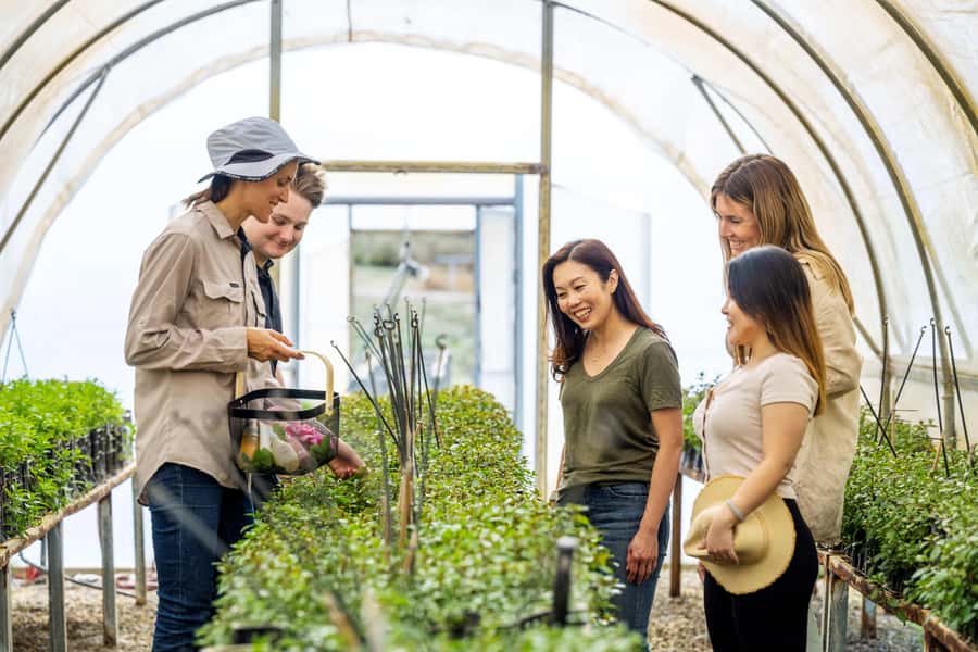 Adelaide Hills: Jurlique Farm Tour - Propagation and seedlings: where the tour becomes practical