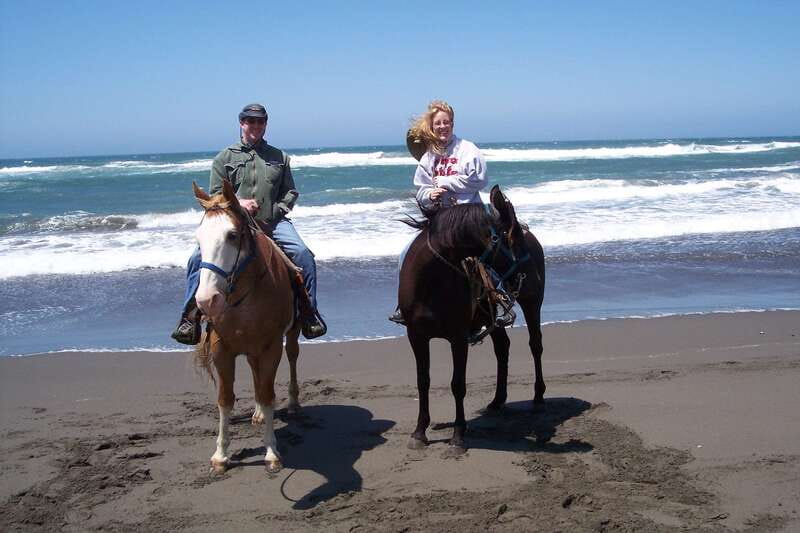 <em>Afro-Mex Village Horse Ride, Turtle Release Crocodile Farm – Key Points at a Glance’ /></p>
<ul>
<li><strong>Hands-on turtle release</strong> at the Vallarino Turtle Camp, including getting your turn to help place the baby turtles on the beach.</li>
<li><strong>Horseback riding for all levels</strong>, with basic technique and time to get comfortable with your mount.</li>
<li><strong>Small group size (max 10)</strong>, which usually means more questions answered and less waiting around.</li>
<li><strong>Cultural stop at an Afro-Mex Village</strong>, geared toward understanding everyday life, not just snapping photos.</li>
<li><strong>Crocodile farm visit</strong> as the final attraction, often the one that surprises people in a good way.</li>
</ul>
<h2 id="from-hotel-pick-up-to-vallarino-turtle-camp">From Hotel Pick-Up to Vallarino Turtle Camp</h2>
<p><img width="800" height="595" decoding="async" src=