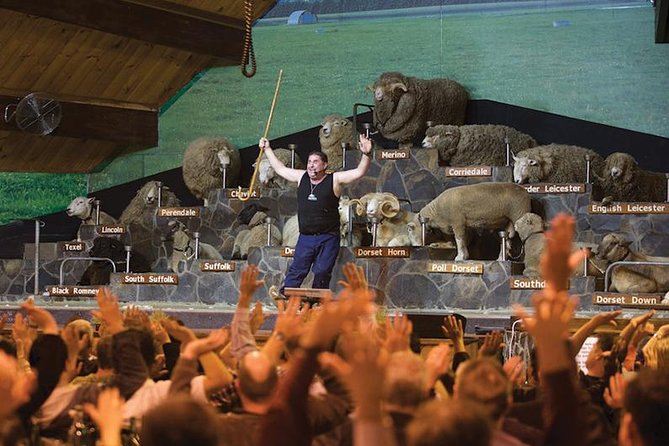 Agrodome Farm Experience including Farm Show and Farm Tour - Rotorua - Key Points You Should Know Before You Go