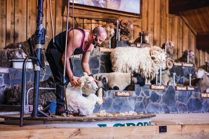 Agrodome Farm Experience including Farm Show and Farm Tour - Rotorua - After the Show: How the Farm Tour Actually Feels