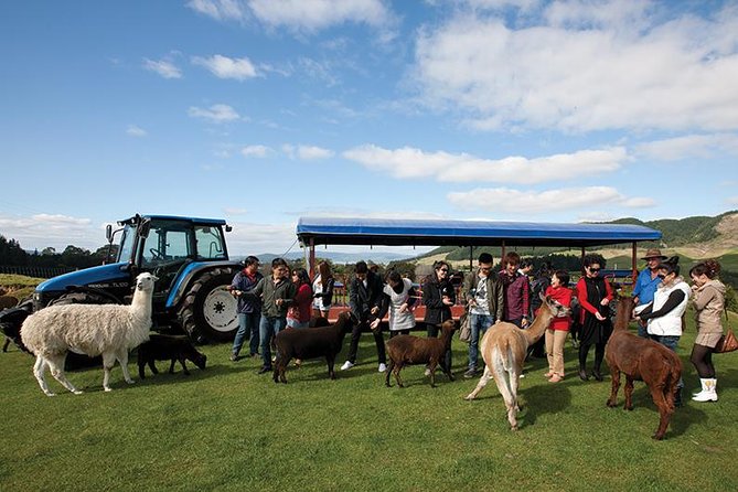 Agrodome Farm Experience including Farm Show and Farm Tour - Rotorua - Meet the Animals: Feeding, Petting, and Photo Time