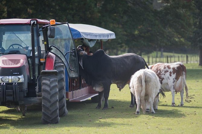 Agrodome Farm Experience including Farm Show and Farm Tour - Rotorua - Dog Demonstrations: Why This Part Works for Everyone