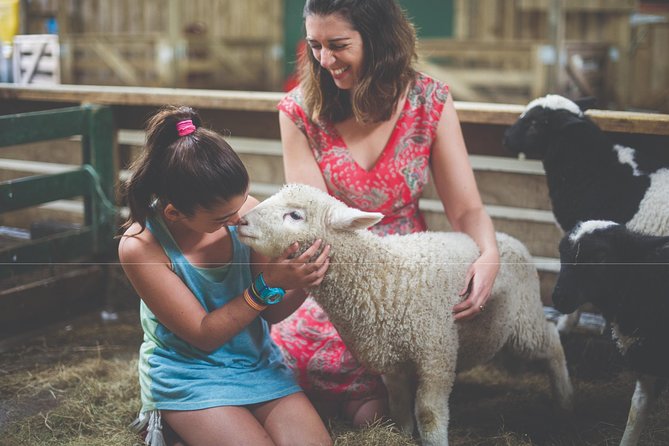 Agrodome Farm Experience including Farm Show and Farm Tour - Rotorua - Where the Time Goes: A Typical 2 Hours 30 Minutes Plan