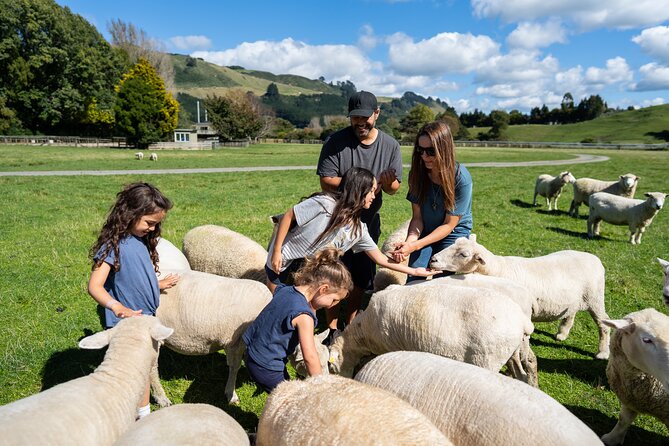 Agrodome Farm Experience including Farm Show and Farm Tour - Rotorua - Value at About $40: What You’re Really Paying For