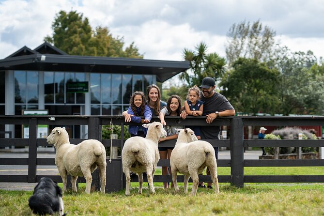 Agrodome Farm Experience including Farm Show and Farm Tour - Rotorua - Location and Getting There Without Stress