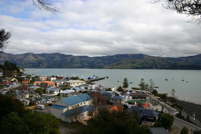 Akaroa Shore Excursion: Akaroa Harbour and Sheep Farm Local Tour - Barry’s Bay Cheese: Quick Sampling, Small-Time Budget, Real Taste