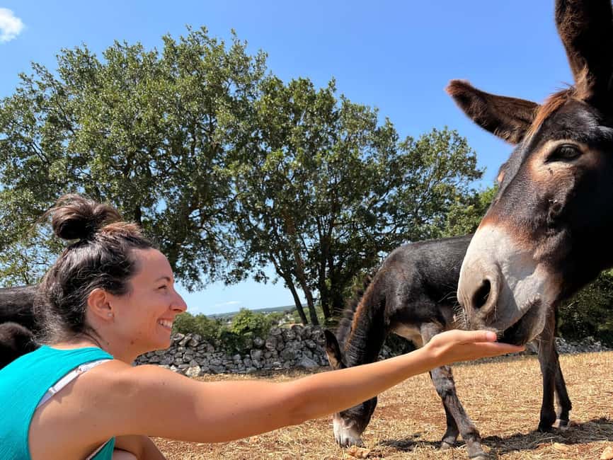 Alberobello: Guided e-bike tour + mill & donkey farm - Price and value: where your $55 really goes