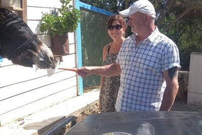 Albufeira Safari exploring villages, churches, castle & farm - Pickup In Albufeira And Your Ride Into The Countryside