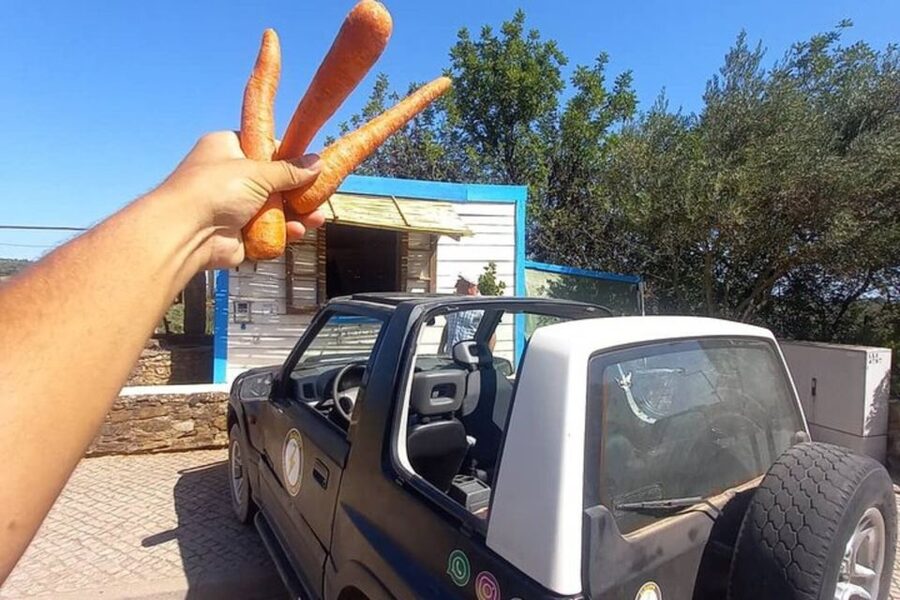 Albufeira Safari exploring villages, churches, castle & farm - Honey And Medronho Firewater: A Taste Of Algarve Tradition
