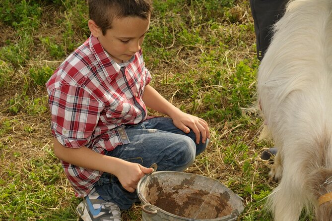 Alcamo Farm Animals and Aromatic Garden - The aromatic plant garden game and your take-home bouquet