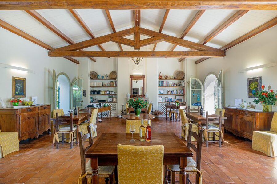 Alghero: Wine and Olive Oil Tasting at a Local Farm - Stop-by-stop flow: how the hour is paced