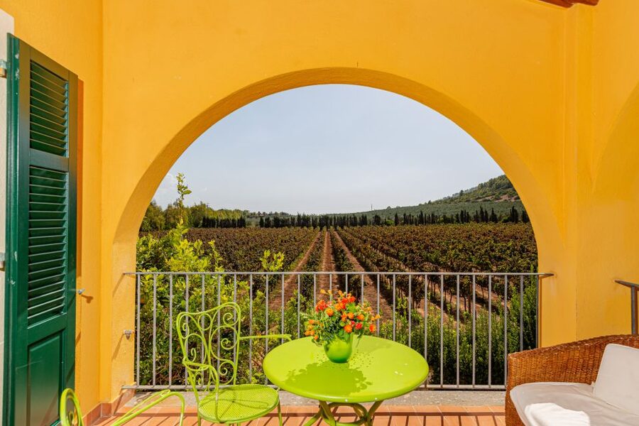Alghero: Wine and Olive Oil Tasting at a Local Farm - The 1-hour tasting: 5 wines plus pecorino, olives, and bread