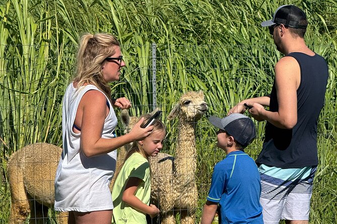 Alpaca Farm Experience on the Road to Hana - The Guide Factor: Friendly, Practical, and Helpful on the Spot