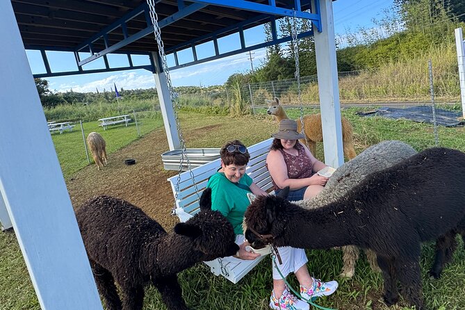 Alpaca Farm Experience on the Road to Hana - Value for $49: When a Mini Tour Makes Sense
