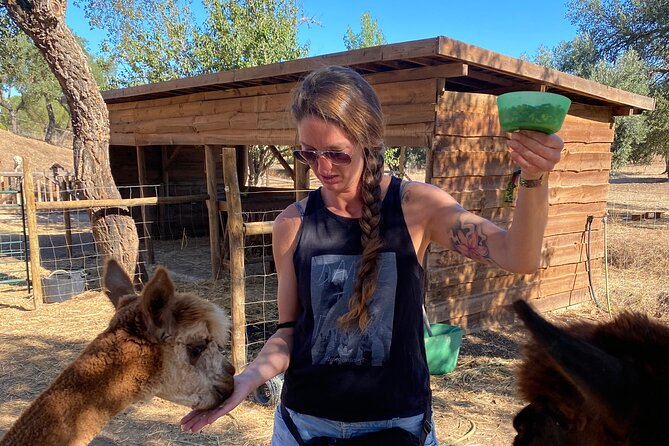 Alpaca Farm MamaAdama Meet & Feed - Who this tour fits best in your Portugal plan