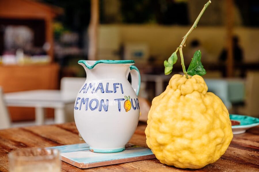 Amalfi: Vertical Lemon Farm Tour, Tastings, and Rural Museum - Tastings That Actually Taste Like the Farm