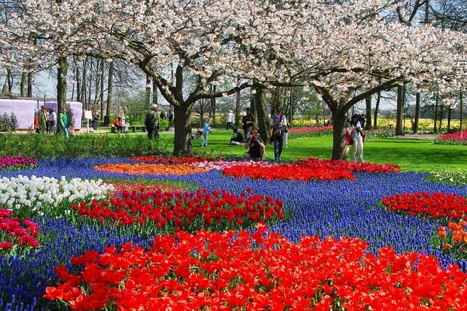 Amsterdam: Day trip to Tulip Farm, Keukenhof + Windmill Cruise - Price and value: What you’re paying for at $102.23