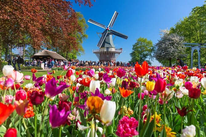 Amsterdam: Day trip to Tulip Farm, Keukenhof + Windmill Cruise - Who should book this day trip from Amsterdam