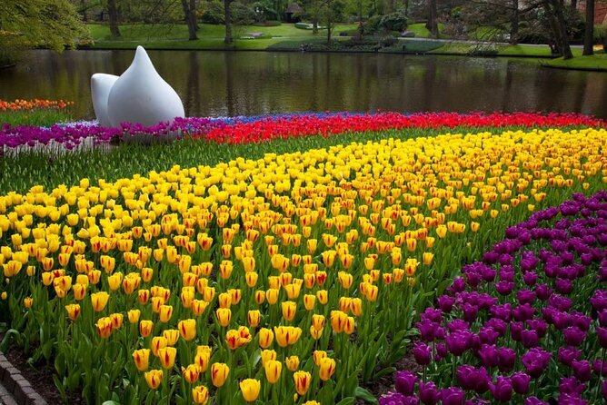Amsterdam: Day trip to Tulip Farm, Keukenhof + Windmill Cruise - Lisse tulip fields by bus: Quick scenic breaks, not a long hike