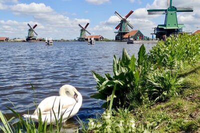 Amsterdam private tour to windmills, cheese farm and villages - Edam on a Dike: Cheese Town in Miniature