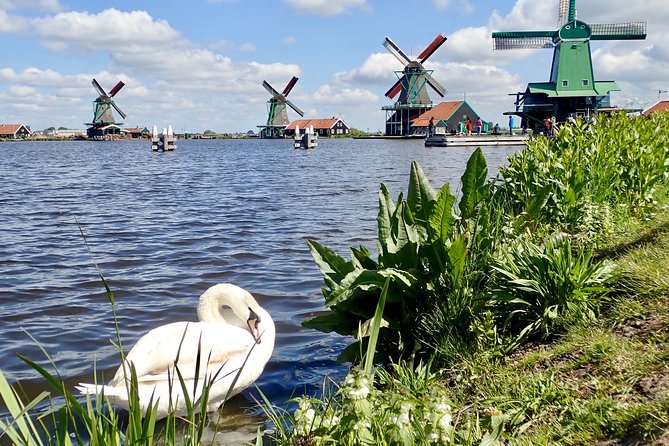 Amsterdam private tour to windmills, cheese farm and villages - Edam on a Dike: Cheese Town in Miniature