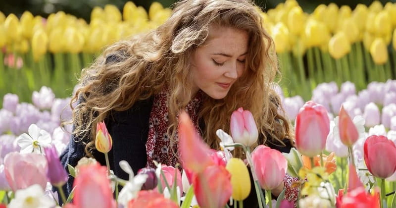 Amsterdam: Tulip Farm Visit, Keukenhof, and Windmill Cruise - First Stop: This Is Holland and a Smooth Start From Amsterdam
