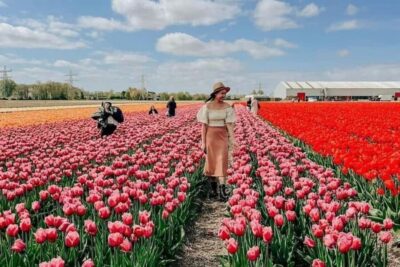 Amsterdam: Tulip Farm Visit, Keukenhof, and Windmill Cruise - Photo Stops and Field-Walk Timing: How the Tour Avoids Time-Wasters
