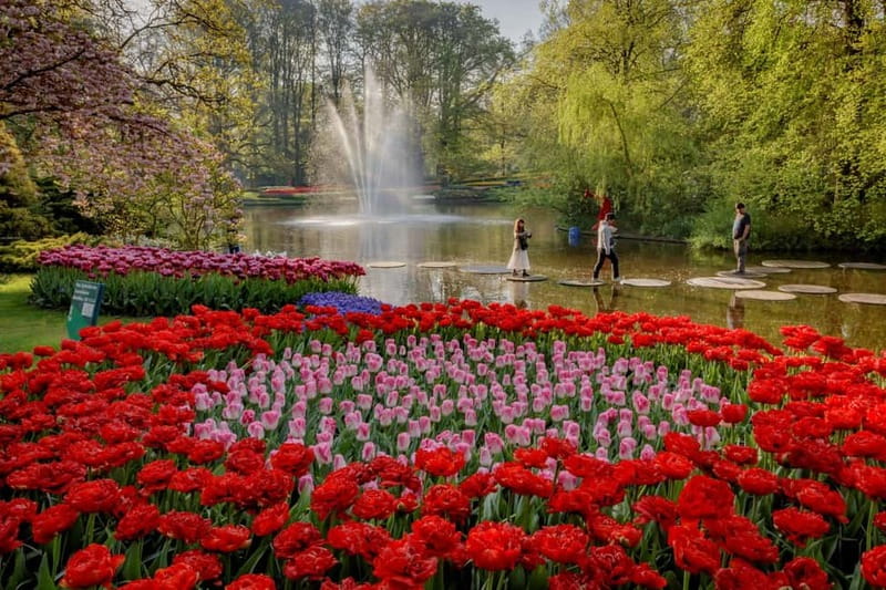 Amsterdam: Tulip Farm Visit, Keukenhof, and Windmill Cruise - Keukenhof Gardens: Spend Your Free Time Like a Pro