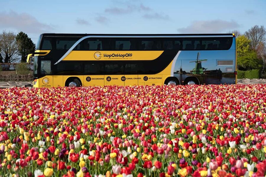 Amsterdam: Tulip Farm Visit, Keukenhof, and Windmill Cruise - Coach Comfort, Hosts, and What the Day Feels Like