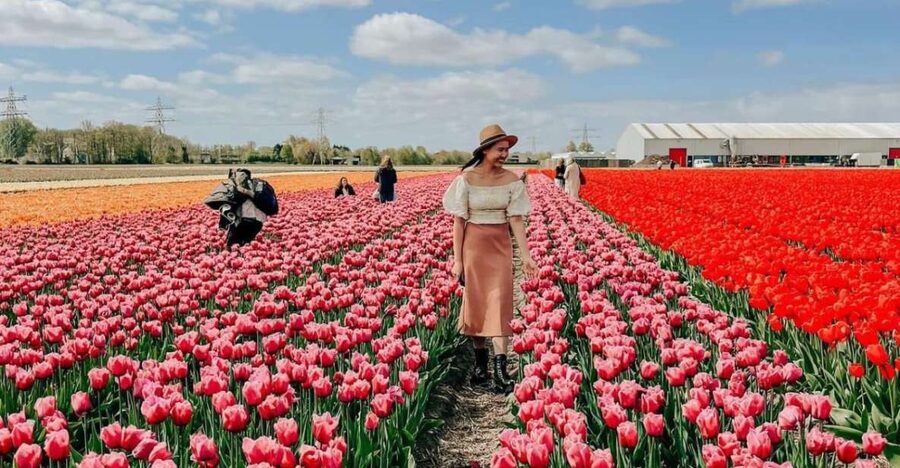 Amsterdam: Tulip Farm Visit, Keukenhof, and Windmill Cruise - Who This Tour Suits Best